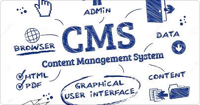 Custom CMS & CRM